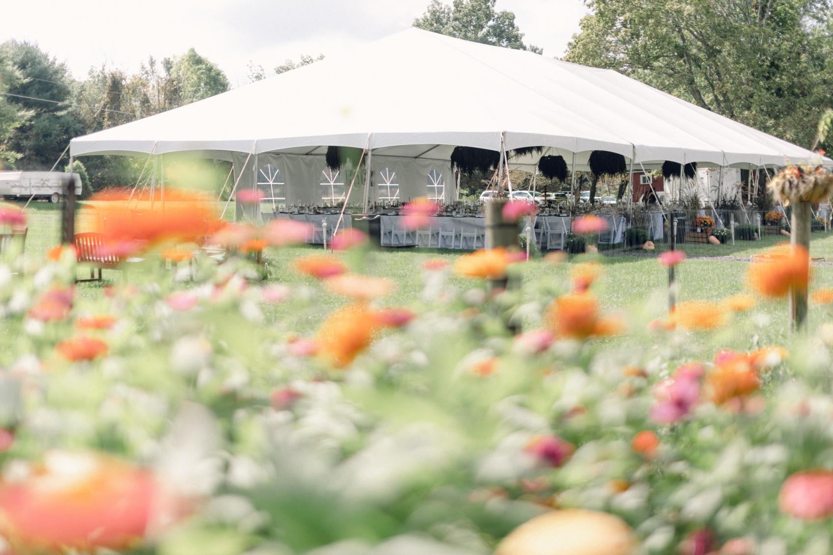 tent and flowers rental williamsport services